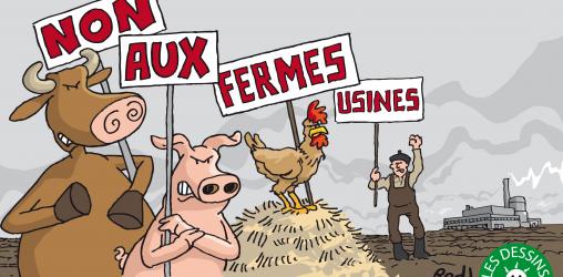 Ferme-usine : Libérez les vaches, relaxez les militants !