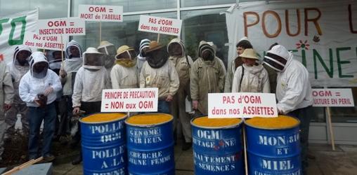 Rassemblement pour le droit et la liberté de butiner sans OGM. 20/01/2012