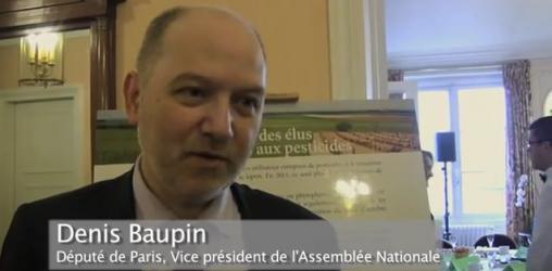 Denis Baupin. Député de Paris, Vice président de l'Assemblée Nationale.