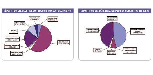 Dépenses recettes 2011 Agir pour l'Environnement