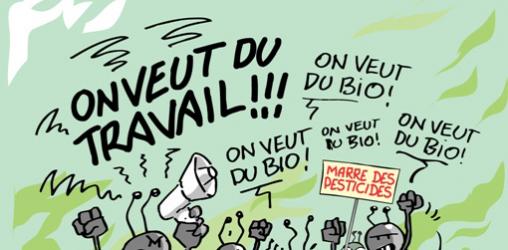 Toi aussi rejoins le collectif des coccinelles en colère (ccc) !