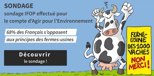 Sondage : 68% des Français s’opposent  aux principes des fermes-usine