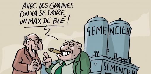 Semencier : avec les graines, on va faire un max de blé !