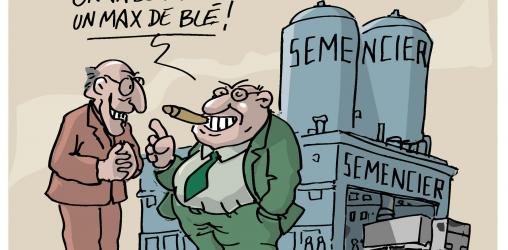 Semencier : avec les graines, on va faire un max de blé !