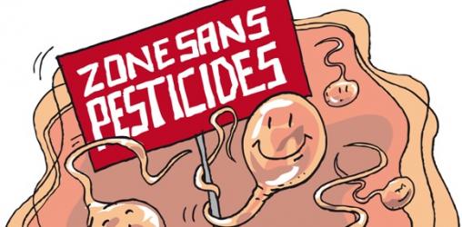 Spermatozoïdes - Zone sans Pesticides