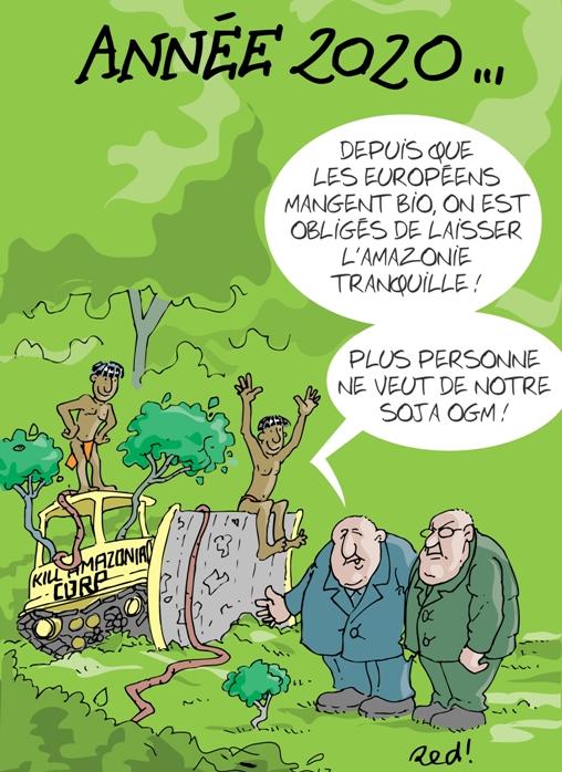 L'Agriculture Biologique : réponses à l'enjeux alimentaire