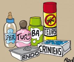 Perturbateurs endocriniens : Parce que je le vaux bien !