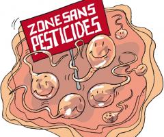 Spermatozoïdes - Zone sans Pesticides