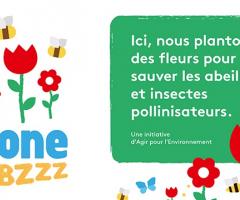 Zone de BZZZ (saison 2)