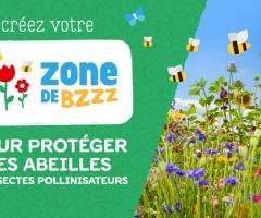 Zone de BZZZ (Saison 2019)